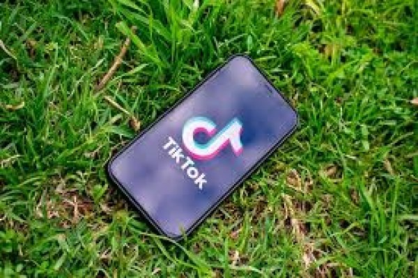 Digital Strike: 81 मिलियन से भी ज्यादा मंथली यूजर्स डिलीट करेंगे TikTok, 59 China apps भी