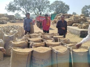 धान खरीदी में नया फर्जीवाड़ा: सिलाई के दौरान निकाला गया 1 से 2 किलो धान, 1.27 करोड़ का सरकार को नुकसान